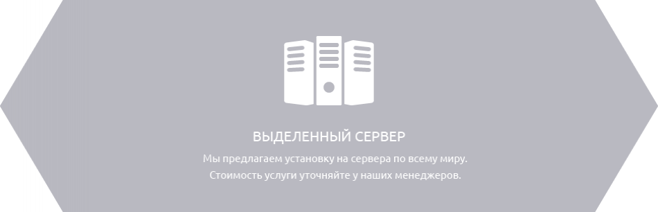 Выделенный сервер